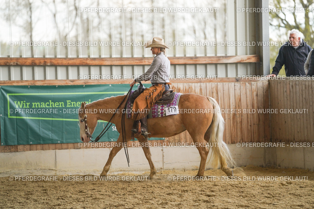 DSC07742 | Pferdegrafie