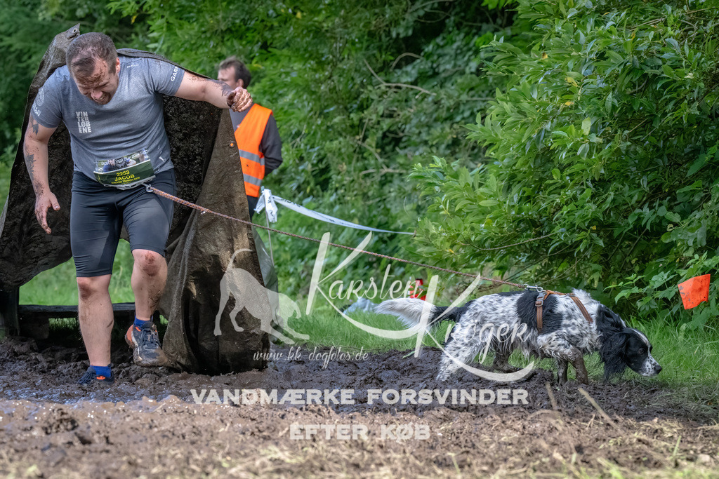 1656_ZZ90512-Bearbeitet | kk-dogfotos