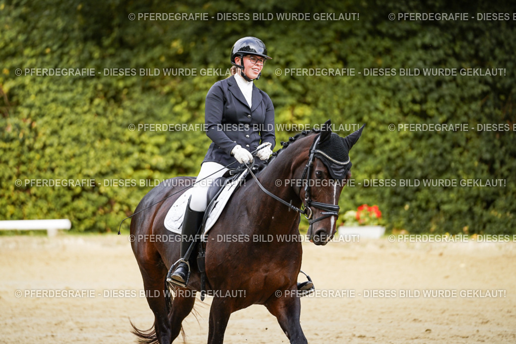 DSC09720 | Pferdegrafie