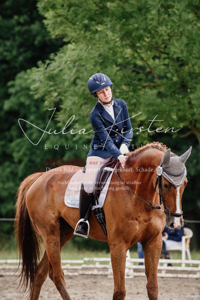 DSC_9960 | Pferde- und Turnierfotografie in Westsachsen. Pferdeportraits, Auftragszeichnungen und intuitive Kunst.
