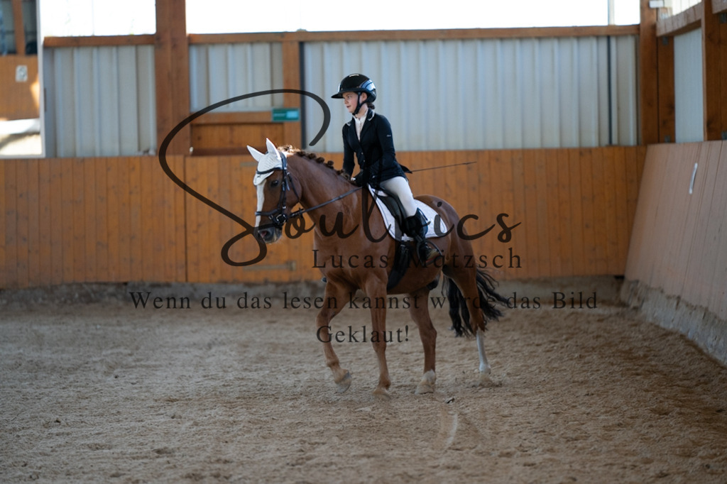 A7V01704 | Pferdefotograf