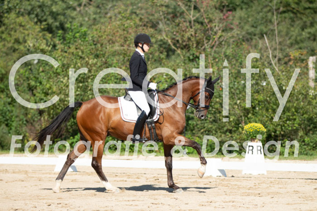 IMG_5081 | Creatify Fotografie