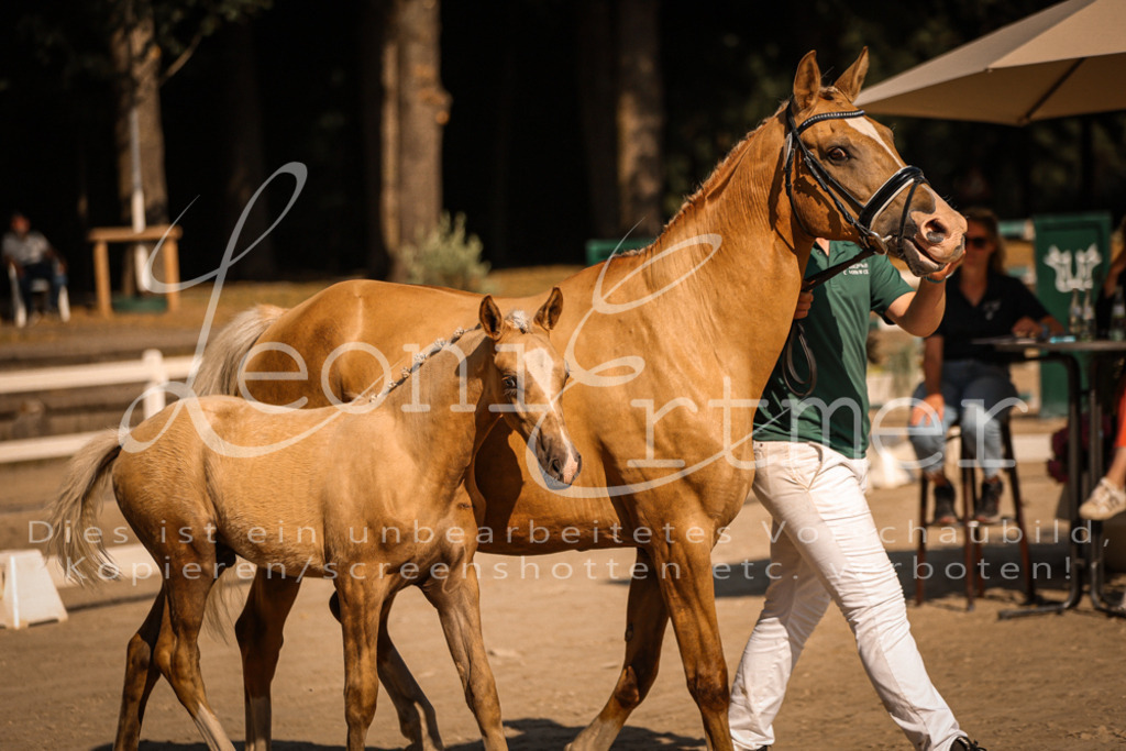 11.DoRP00085 | Leoni Ertmer Photography - Realisiert mit Pictrs.com