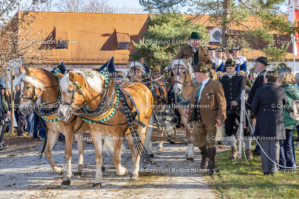 LBT25-1315 | foto-bettina-krinner - Realisiert mit Pictrs.com
