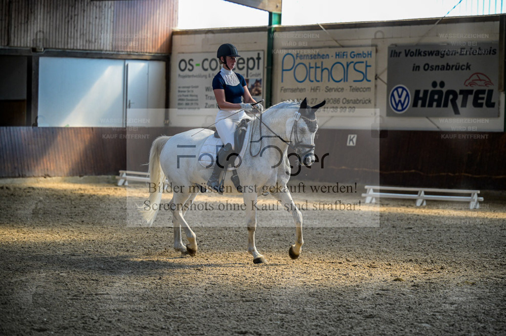 Reitturnier Voxtrup | Entdecke hochwertige Reitturnierfotos von Foto Oger. Professionell, emotional und authentisch – jetzt Lieblingsmomente im Shop bestellen. - Realisiert mit Pictrs.com