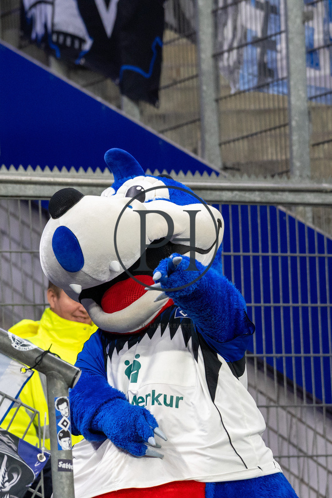 6. Spieltag HSV - Mainz 05_SC-10 | Philipp-Heist - Realisiert mit Pictrs.com