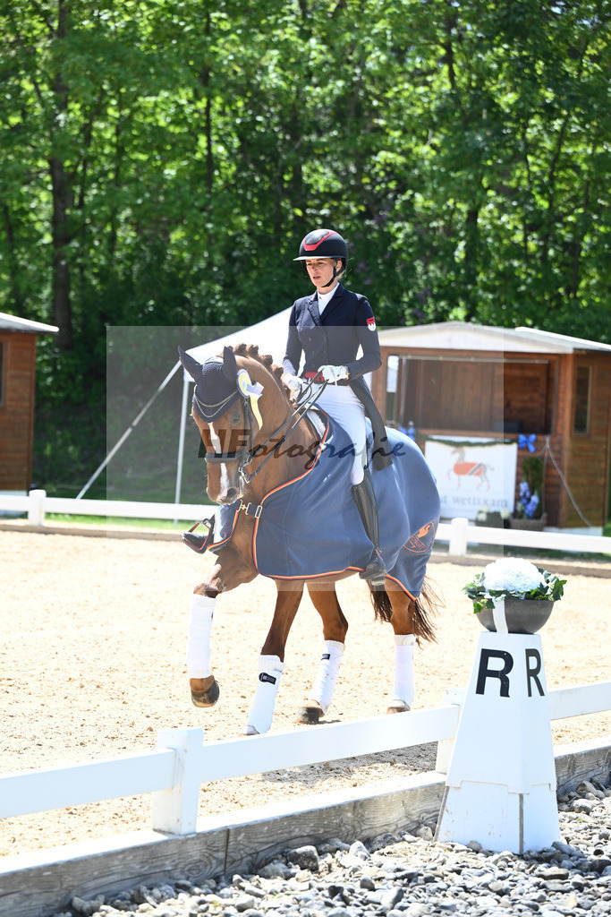 Baer_Superstar_12243988 | hf-fotografie - Realisiert mit Pictrs.com