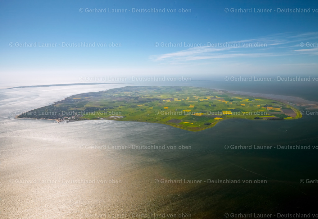 3091342 | Föhr, Nationalpark Schleswig-Holsteinisches Wattenmeer
