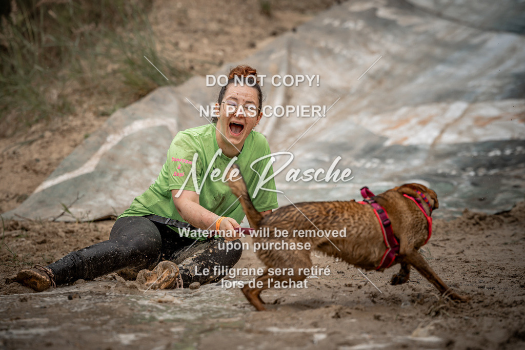 nelerasche_sa1100-1200_184 | nelerasche