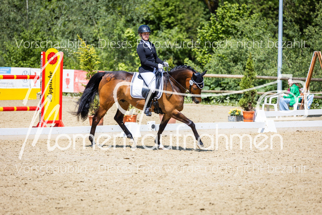 Donop24-L-Dre-100 | MomenTaufnahmen Pferdesportfotos