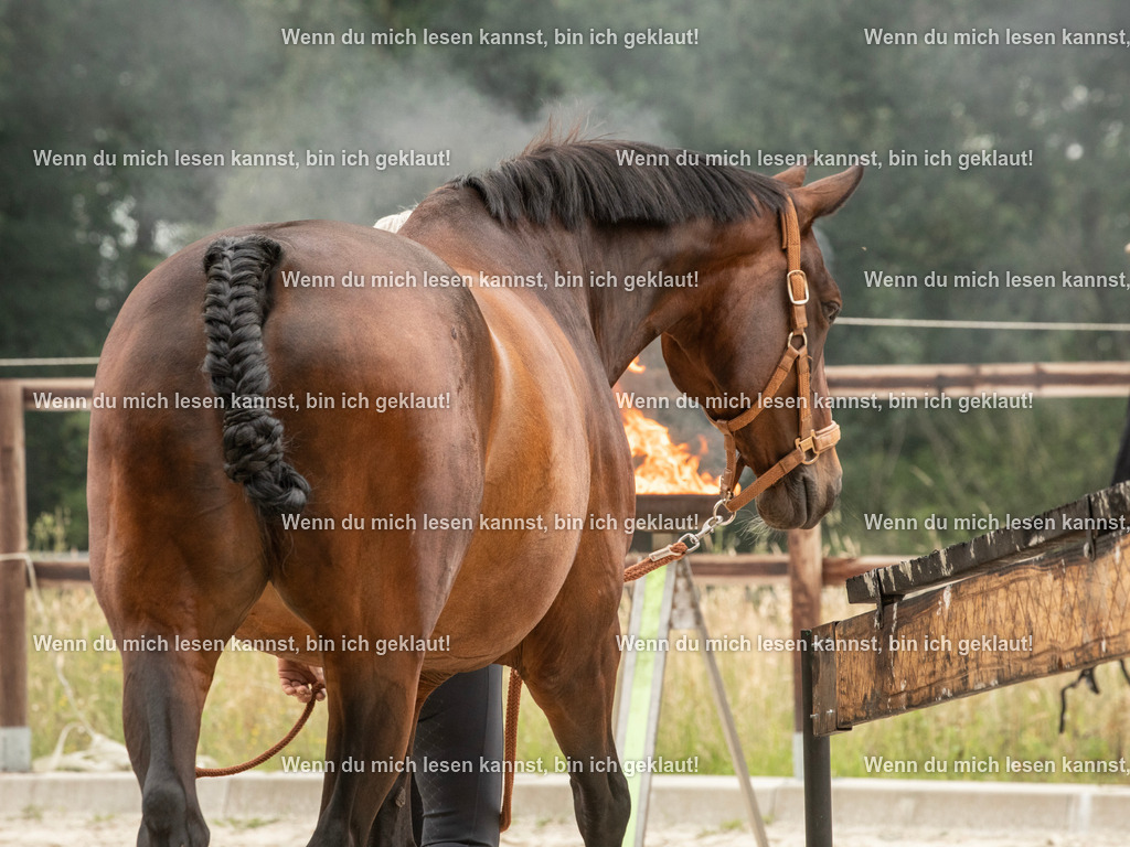 598A6444 | photographylinaismer - Realisiert mit Pictrs.com