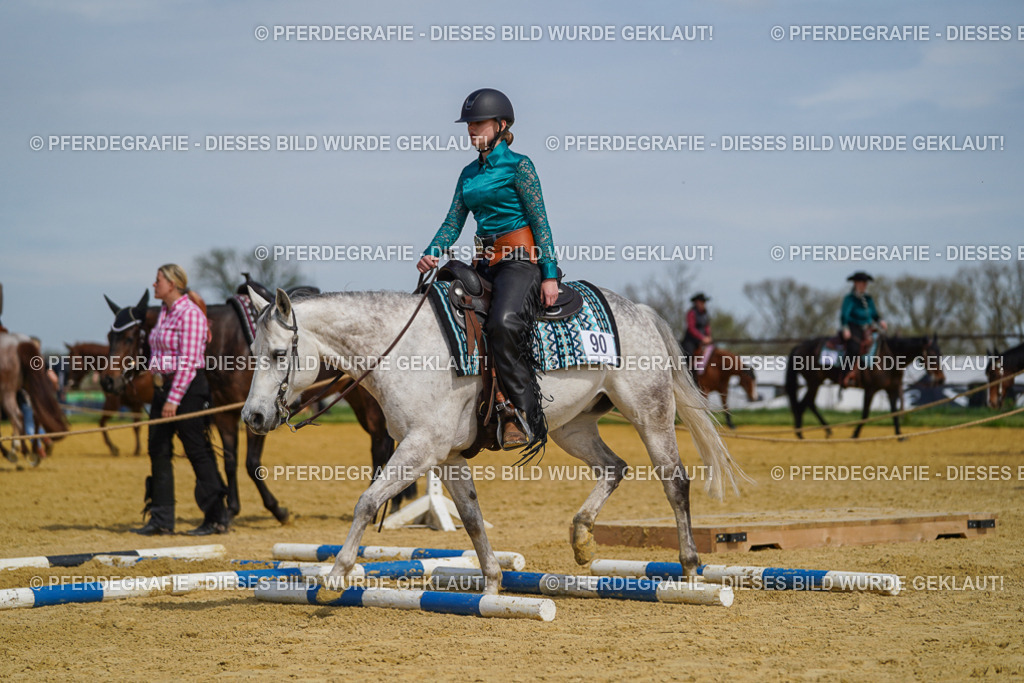 DSC04672 | Pferdegrafie