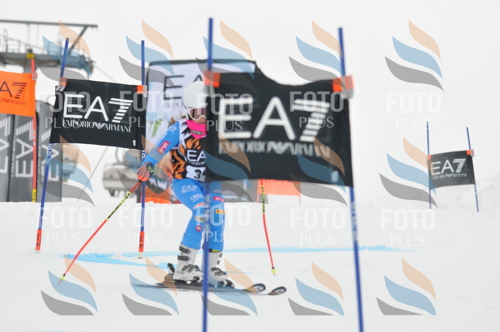 DSC_7582 | holidayphoto