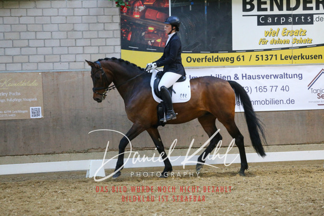 IMG_2878 | Turnierfotos kaufen im Webshop von Daniel Kuhl Photography – entdecke professionelle Reitsportfotos aus Turnieren & Events. Hochwertige Turnierbilder online bestellen & sichern. Jetzt Fotos von Reitsportturnieren kaufen!