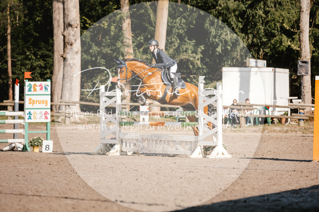 3I6A3637 | Stimmungsvolle Portraits und Reitsportfotografie im Ruhrgebiet und im Münsterland.

Pferdefotografie, Hundefotografie, Tierfotografie, Reportagen, Portraits von Tier und Mensch, Turnierfotografie in Bochum, Recklinghausen, Marl, Haltern am See, Dülmen.. - Realisiert mit Pictrs.com
