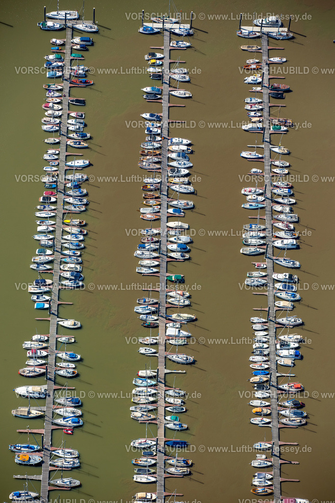 Wedel15068406 | Hamburger Yachthafen-Gemeinschaft e.V., Segelboote, Segelboot, Bootssteg, Elbe,  Wedel, Norddeutschland, Schleswig-Holstein, Deutschland