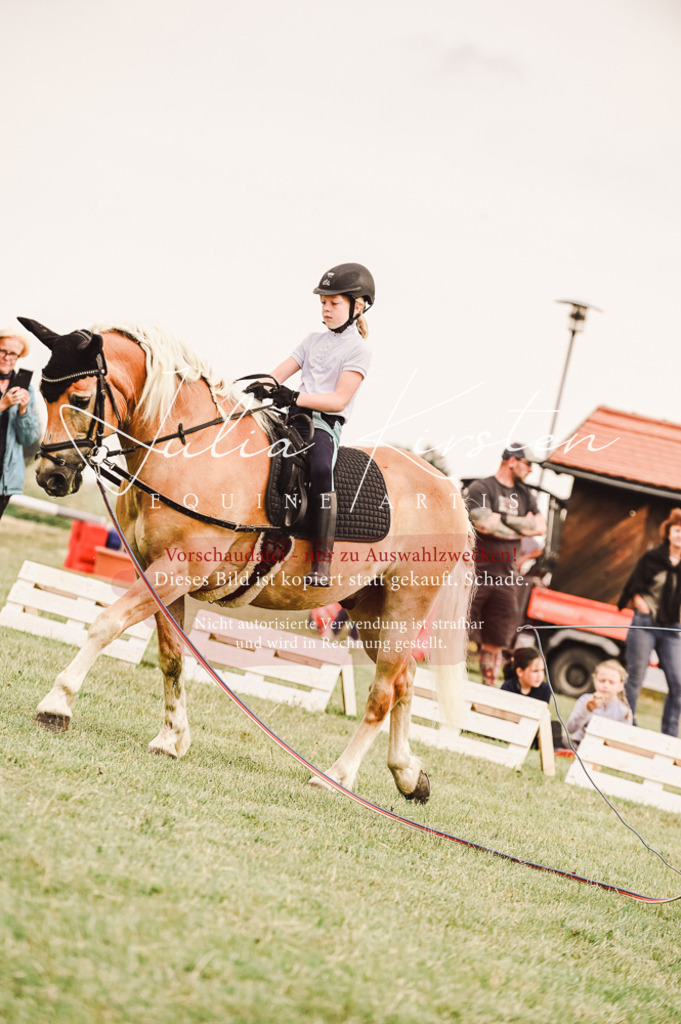 DSC_5254 | Pferde- und Turnierfotografie in Westsachsen. Pferdeportraits, Auftragszeichnungen und intuitive Kunst.
