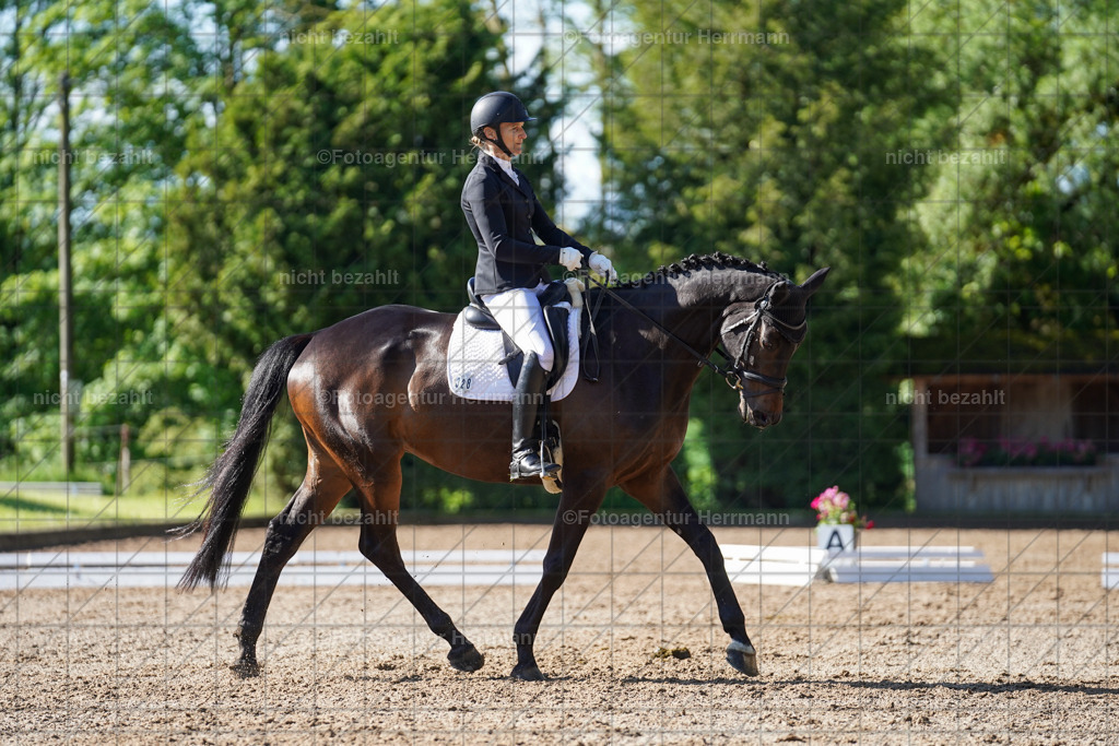 20240519-FAH04468 | Turnierbilder Niederseeon 2024, Vielseitigkeitsdressur, Reitsportbilder aus dem Landkreit Ebersberg, Gut Steinsee, RC Steinsee, Fotoagentur Herrmann