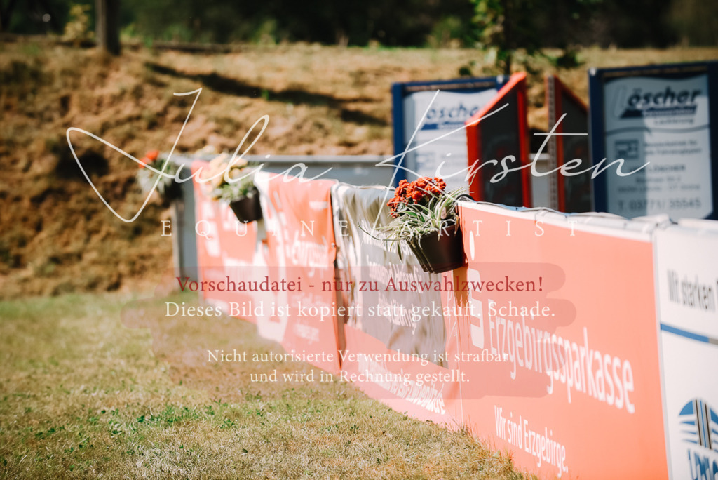 DSC_2976 | Pferde- und Turnierfotografie in Westsachsen. Pferdeportraits, Auftragszeichnungen und intuitive Kunst.