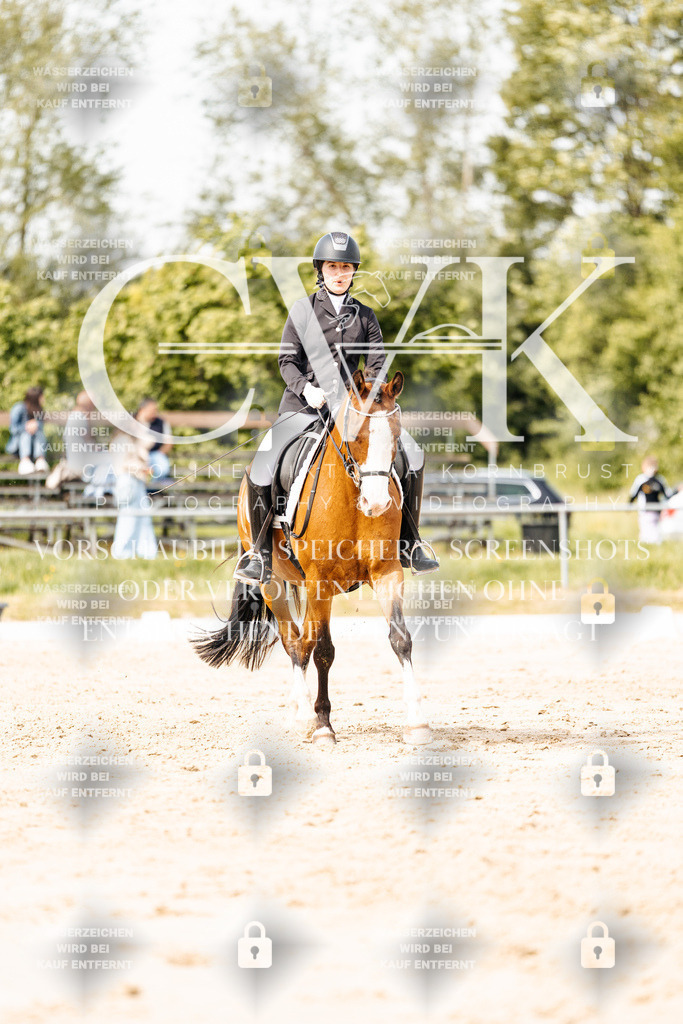 CK901275 | Turnierfotografie Pferdefotografie Trier Rheinland-Pfalz Pferdesport Reitsport Tierfotografie Sportfotografie Pferdevideo Pferdevideografie Equestrianvideography equestrianphotography  - Realisiert mit Pictrs.com