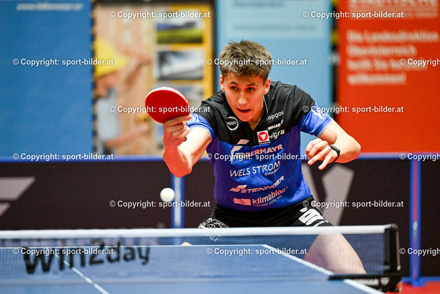 AUT, Tischtennis Bundesliga Herren, SPG Wels vs SPG Linz | 18.04.2024, Wels, AUT, Tischtennis Bundesliga Herren, SPG Wels vs SPG Linz, im Bild Andreas Levenko (Wels)


// Tabletennis Mens National League between SPG Wels and SPG Linz in Wels, Austria on 2024/04/18
