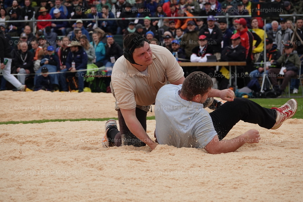 DSC03835 | Schwingen - Realisiert mit Pictrs.com