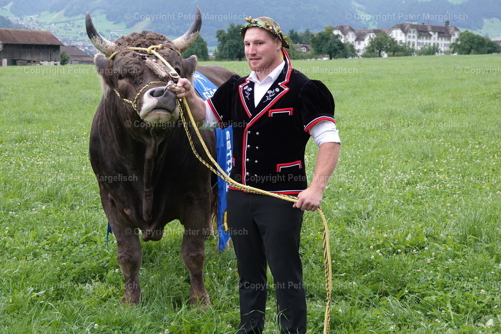 DSC01398 | Schwingen - Realisiert mit Pictrs.com
