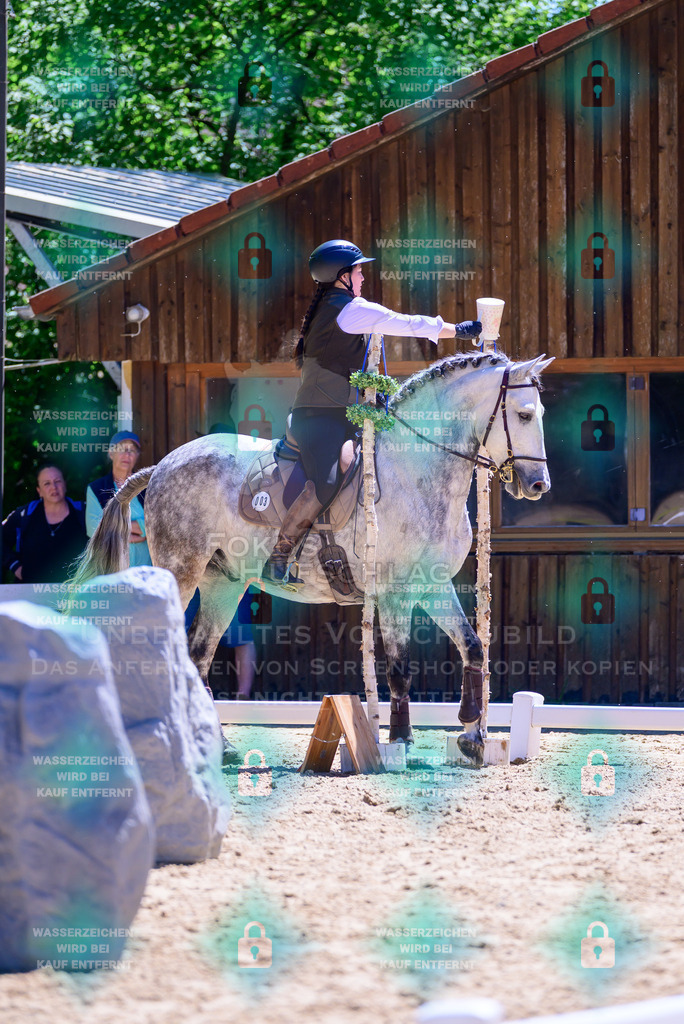 01052026-Giesenbach-02-Stiltrail-0073 | Fokus Hufschlag Fotografie - Realisiert mit Pictrs.com