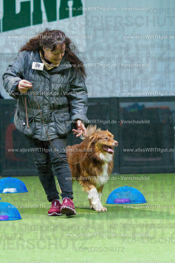7R501165 | Professionelle Tierfotografie in Mönchengladbach von Daniel Wirth (allesWIRTHgut). Liebevolle & natürliche Bilder von Hunden & Katzen für unvergessliche Erinnerungen.
