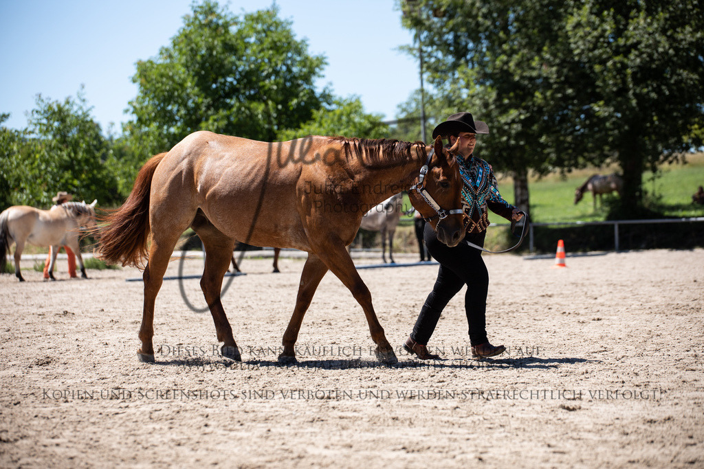 20220702-JuliaEndrejatPhotography-1277 | Julia Endrejat Photography