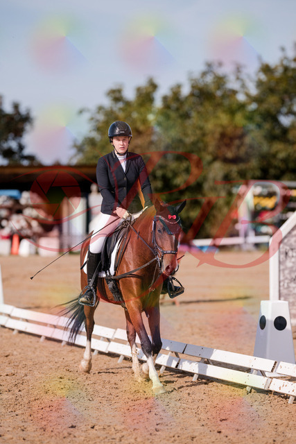 2026_10_03_Siefer-Hof_115425_Z81_93501492 | Professionelle Reitsport-, Turnier- und Eventfotografie von Robert Broda. Galerien mit ausgewählten und bearbeiteten Bildern direkt online ansehen und bestellen.