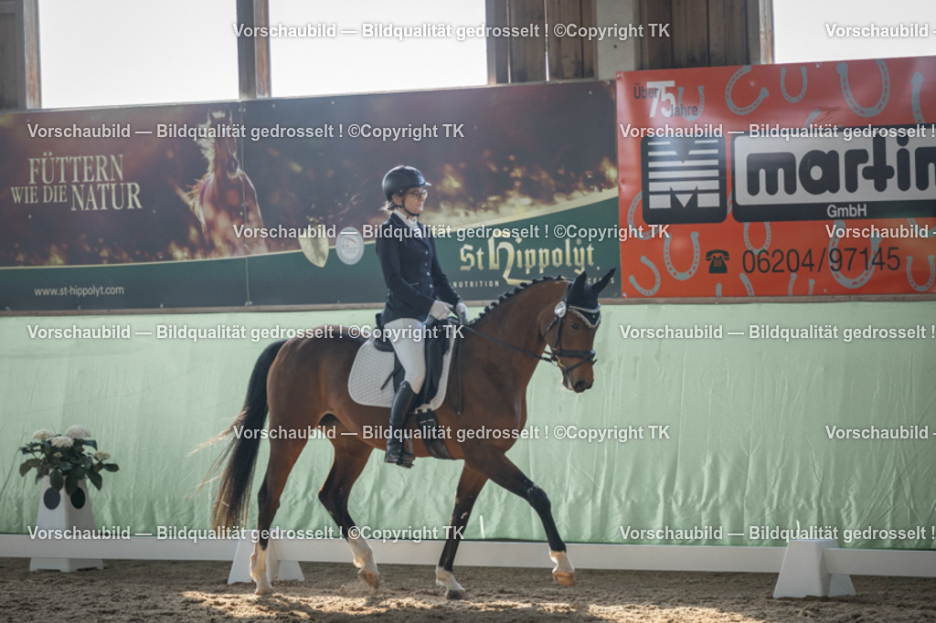 _D5A8416 | Emotionale Pferde- & People-Fotografie rund um Heidelberg, Leimen & Umgebung. Natürliche Fotos von Pferd, Mensch & Familie. Jetzt Termin sichern!