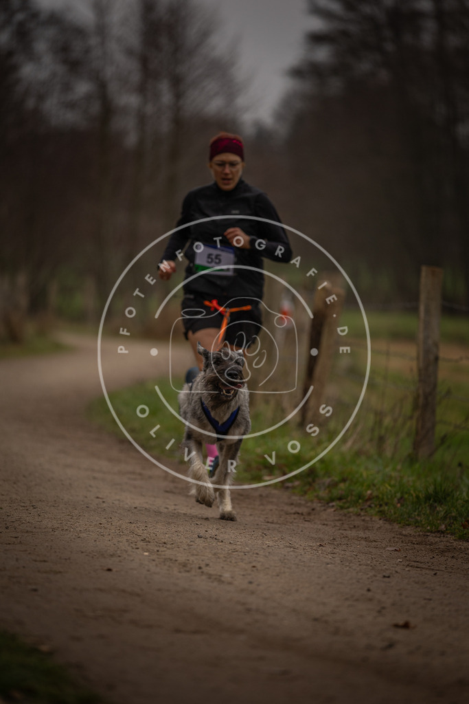 Pfotenfotografie_DV3A3038 | Hundefotografie, Tierfotograf, Pfotenfotografie, Fotoshooting Hund, Hunde Portrait, Hundesport, Hundeportraits, Heideshooting, Hunde, Sportfotograf, Hundefotograf, Turnierhundsport, THS,  - Realisiert mit Pictrs.com