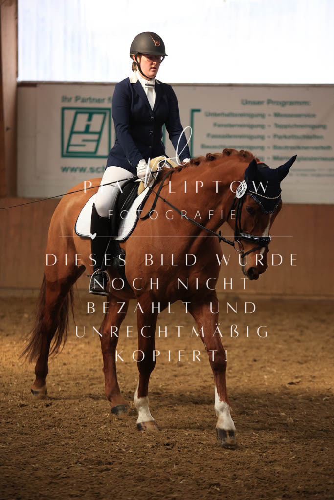 IMGT7657 | pl-fotografie