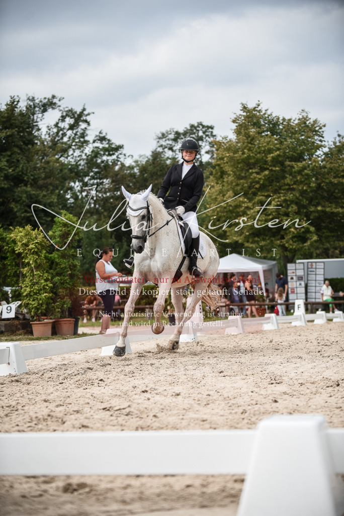 DSC_8512 | Pferde- und Turnierfotografie in Westsachsen. Pferdeportraits, Auftragszeichnungen und intuitive Kunst.