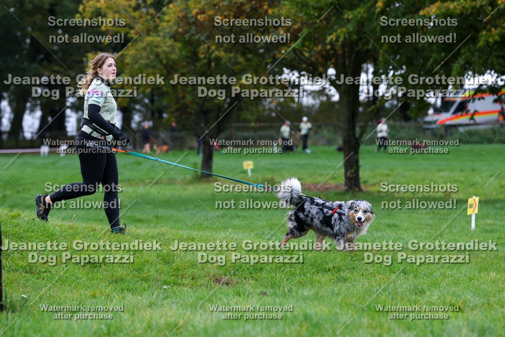 Dog Paparazzi -  SD1026-1344 | Dog Paparazzi Jeanette Grottendiek Fotografie & Videografie - Realisiert mit Pictrs.com