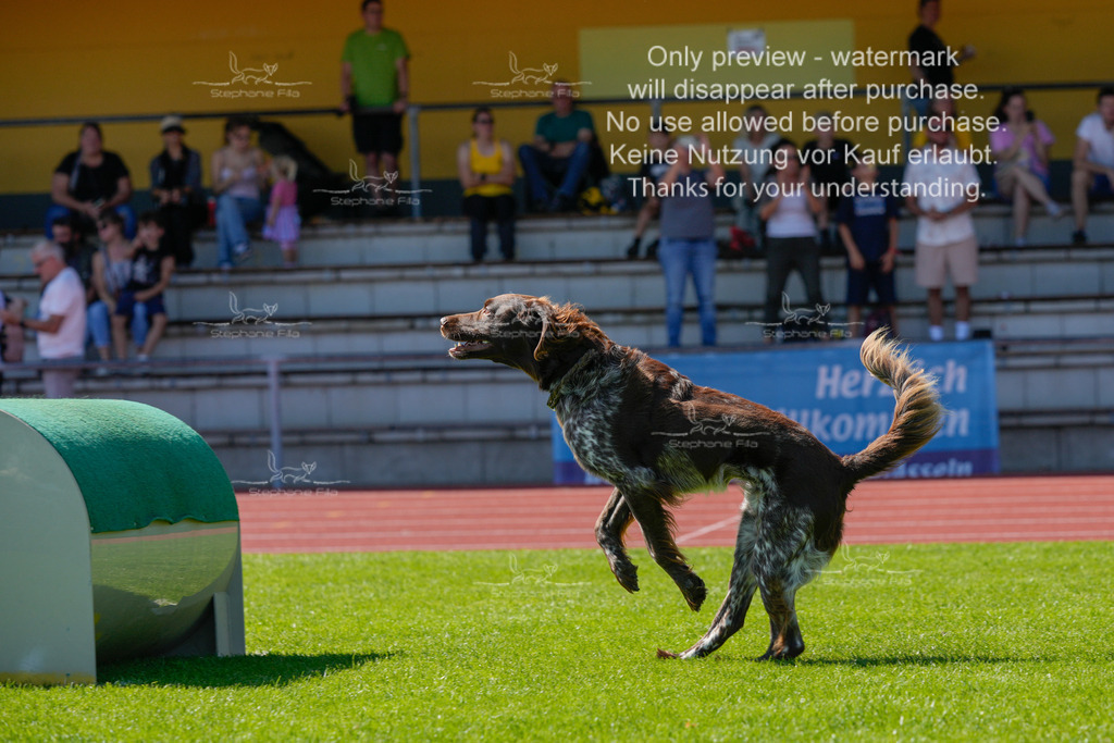 Sonntag_VK Hindernis (440 von 671) | stephaniefillaphotographie - Realisiert mit Pictrs.com