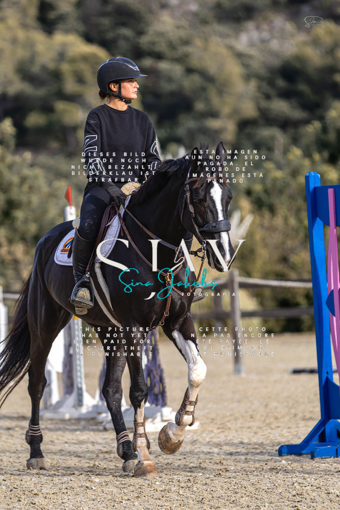 IMG_4483 | s-jay-photography - Realisiert mit Pictrs.com