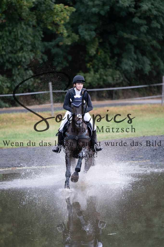 A7V00054 | Pferdefotograf