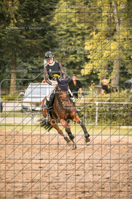 _W6A1972 | ronjaprokoschfotografie - Realisiert mit Pictrs.com