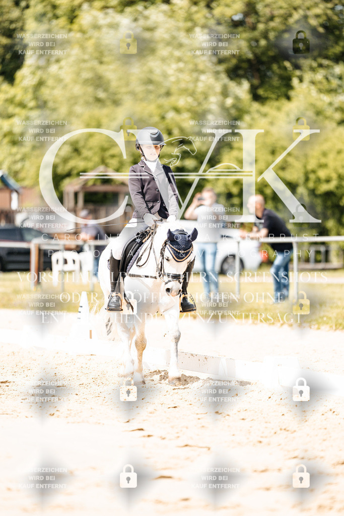 CK901779 | Turnierfotografie Pferdefotografie Trier Rheinland-Pfalz Pferdesport Reitsport Tierfotografie Sportfotografie Pferdevideo Pferdevideografie Equestrianvideography equestrianphotography  - Realisiert mit Pictrs.com