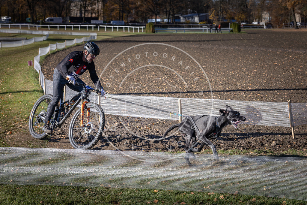 CaniXpix_DV3A5880 | Hundefotografie, Tierfotograf, Pfotenfotografie, Fotoshooting Hund, Hunde Portrait, Hundesport, Hundeportraits, Heideshooting, Hunde, Sportfotograf, Hundefotograf, Turnierhundsport, THS,  - Realisiert mit Pictrs.com