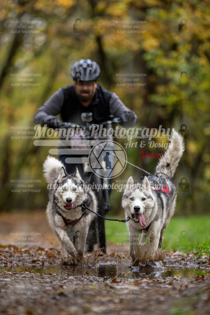 MompixPhotography_Bischwiller23_DS2-26 | mompixphotography