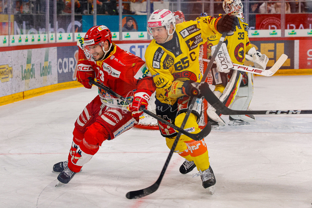 EHCB vs SCB 20260110_wb-3719 | Sportbilder, Sportfotograf, Hochzeits- und Eventfotografin, Flugshows, Portraits und Tiershooting, Aviation, Downhill, Nationalleague, Swissleague, International