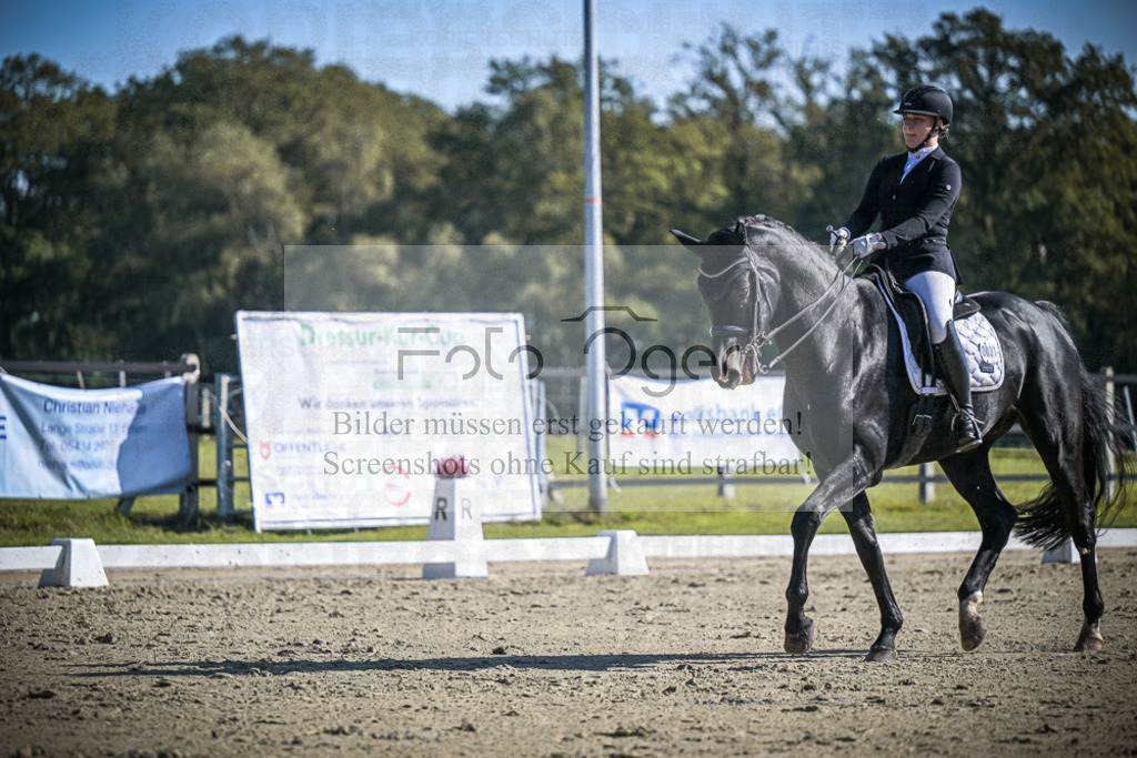 DOS_2102 | Entdecke hochwertige Reitturnierfotos von Foto Oger. Professionell, emotional und authentisch – jetzt Lieblingsmomente im Shop bestellen.Deutschlandweite Turnierfotografie. - Realisiert mit Pictrs.com