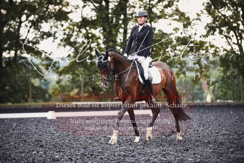 DSC_4034 | Pferde- und Turnierfotografie in Westsachsen. Pferdeportraits, Auftragszeichnungen und intuitive Kunst.