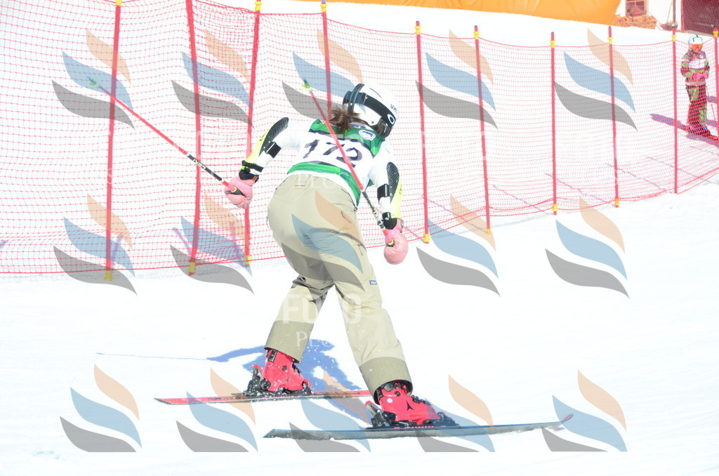 C6322 | holidayphoto