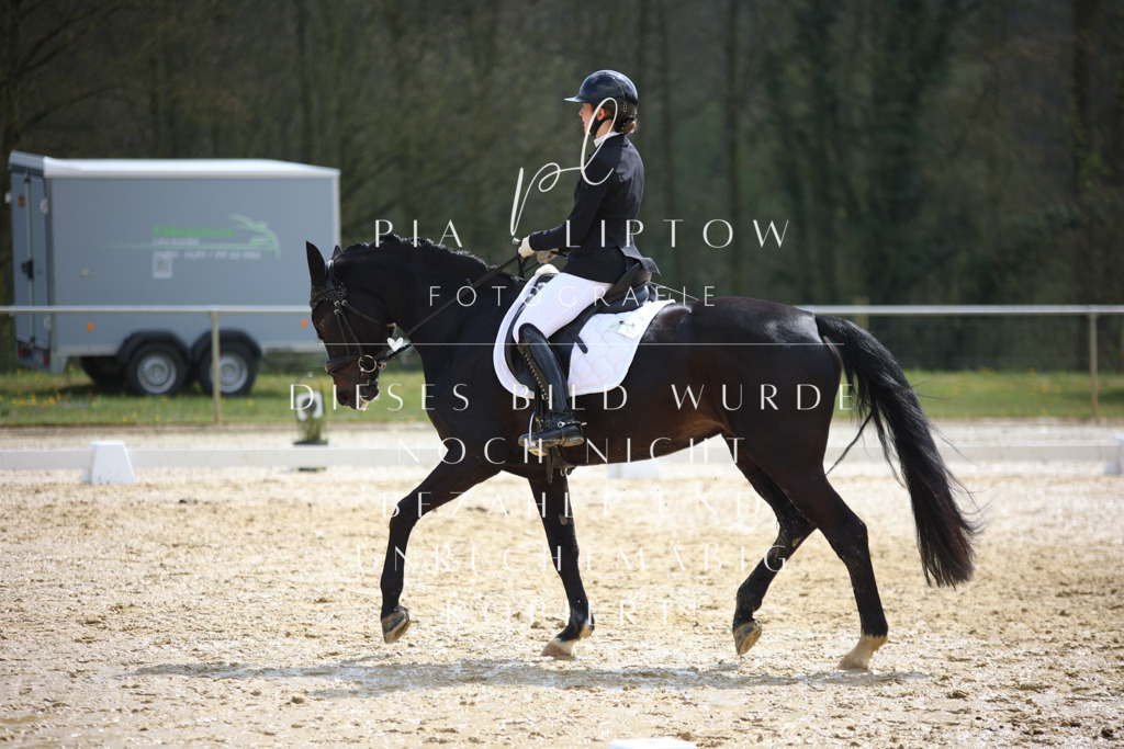 IMGT3640 | pl-fotografie