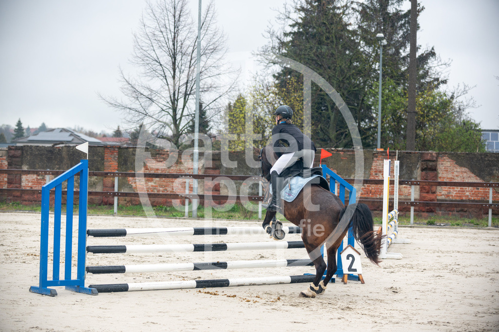 DSC_8444 | sattelsport - Realisiert mit Pictrs.com