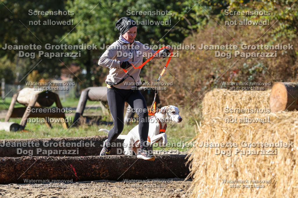 Dog Paparazzi - Strongdog 10-25-2750 | Dog Paparazzi Jeanette Grottendiek Fotografie & Videografie - Realisiert mit Pictrs.com